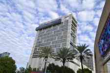 Houston: building, palm trees, hilton hotel