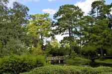 Houston: woods, japanese garden, wooden bridge