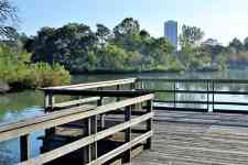 Houston: lake, Houston Texas, herman park