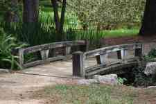 Houston: lake, wooden bridge, herman national park
