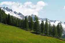 South Houston: Mountains, forest, alps