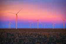 Houston: sunset, wind, windmill