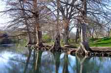 Houston: nature, Trees, river