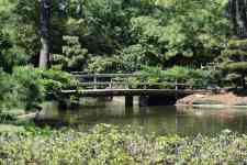 Houston: houston, japanese garden, hermann park